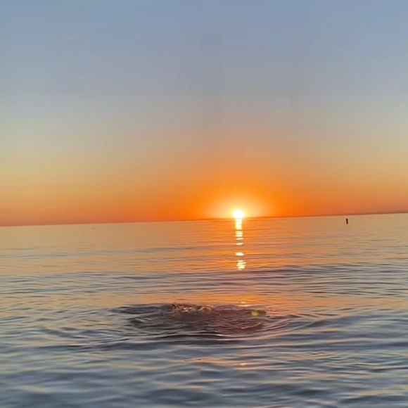 Meet your Posher, Hazel - Picture 1 of 1